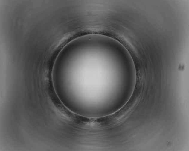 X0000091470212200708161405