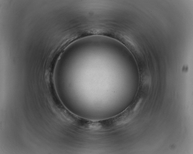 X0000091470214200708161405