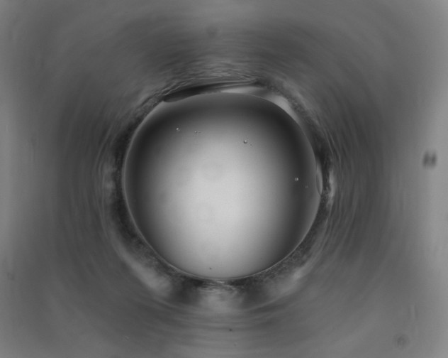 X0000091470215200708161405