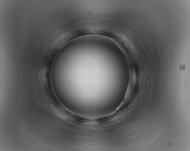 X0000091470217200708161405