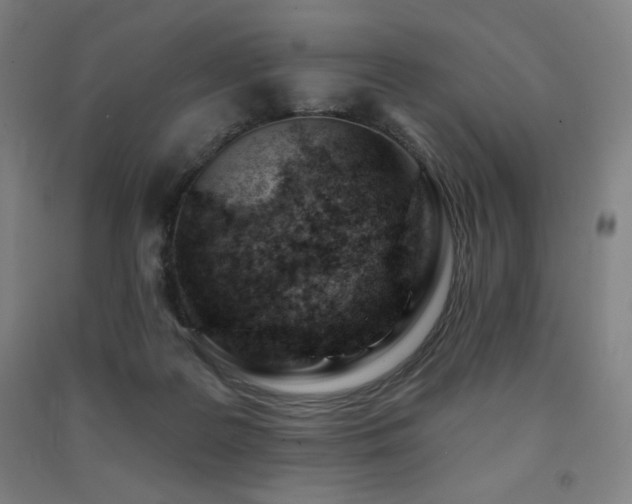 X0000091470219200708161405