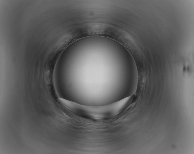 X0000091470224200708161405