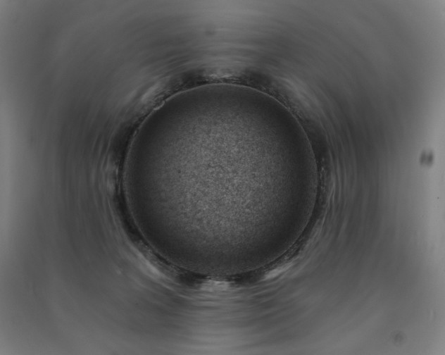 X0000091470227200708161405