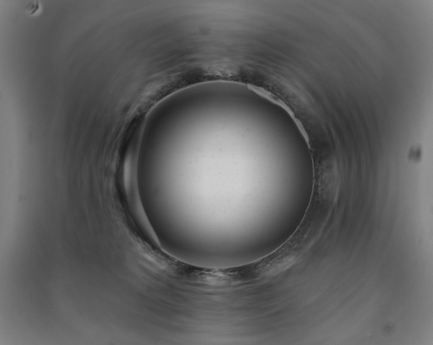 X0000091470229200708161405