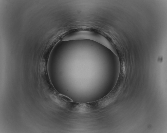 X0000091470231200708161405