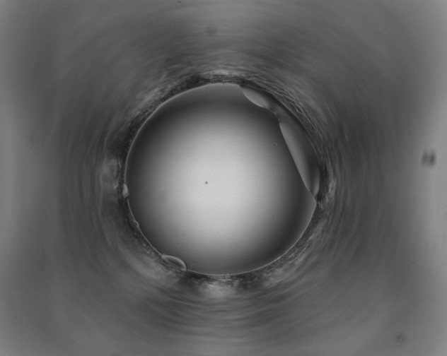 X0000091470232200708161405