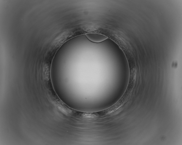 X0000091470234200708161405