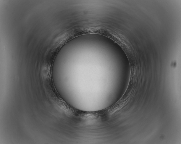 X0000091470236200708161405