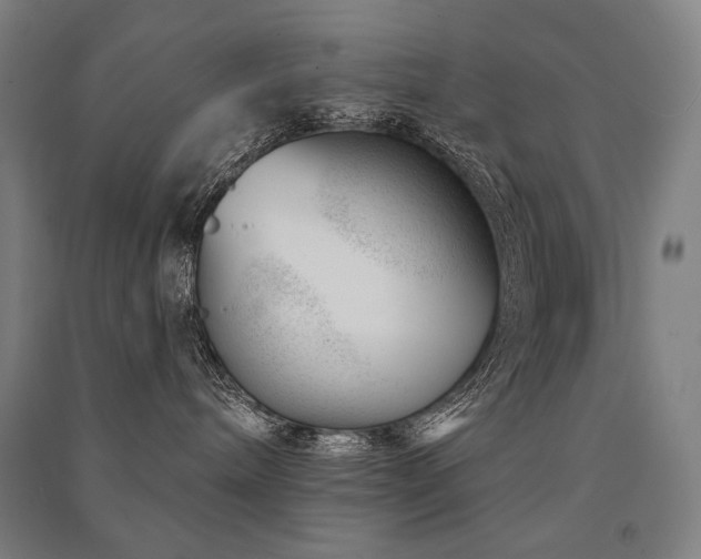 X0000091470240200708161405