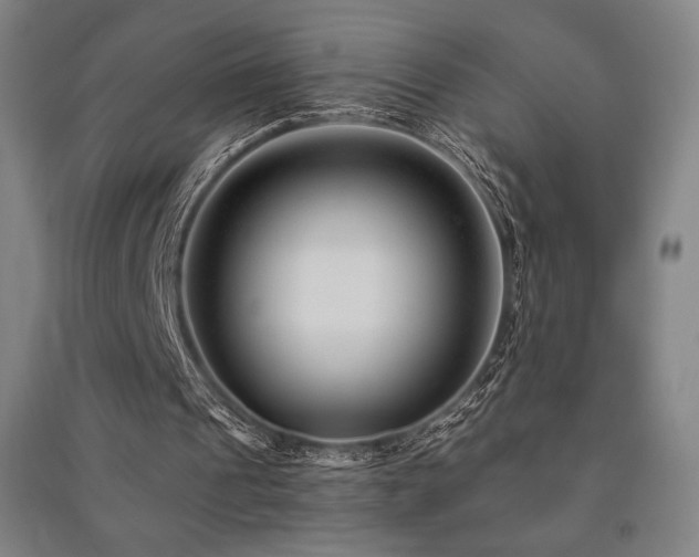 X0000091470241200708161404