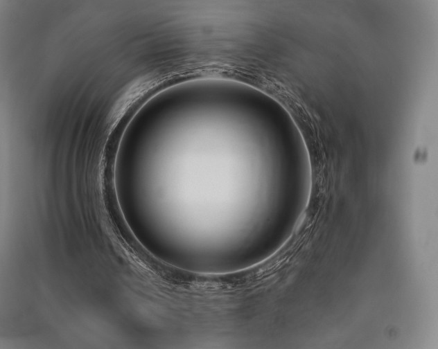 X0000091470242200708161404