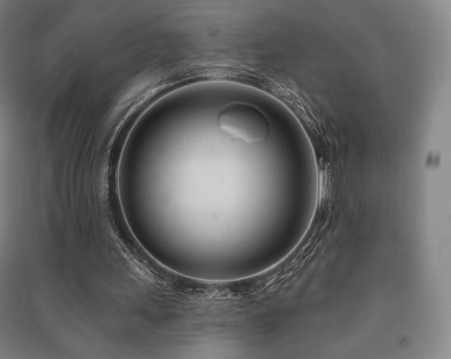 X0000091470243200708161404