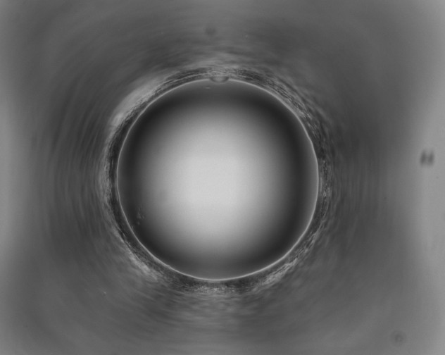 X0000091470245200708161404