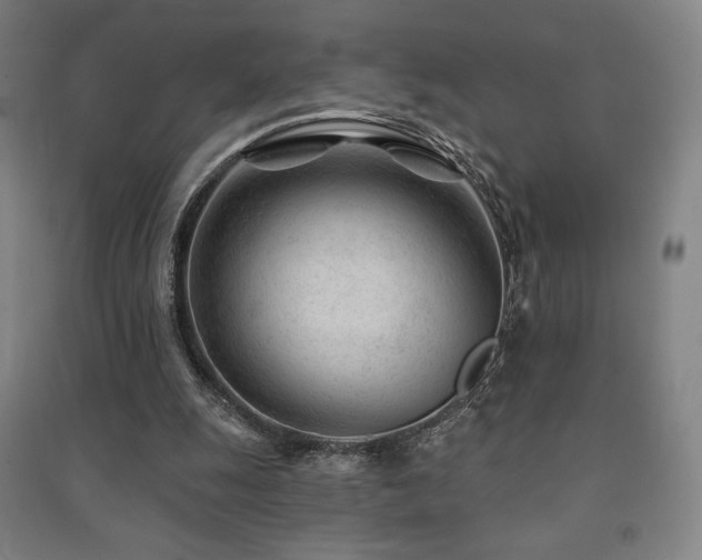 X0000091470247200708161404