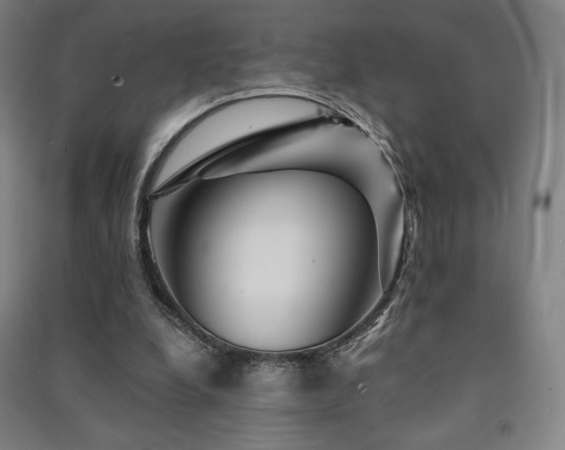 X0000091470248200708161404