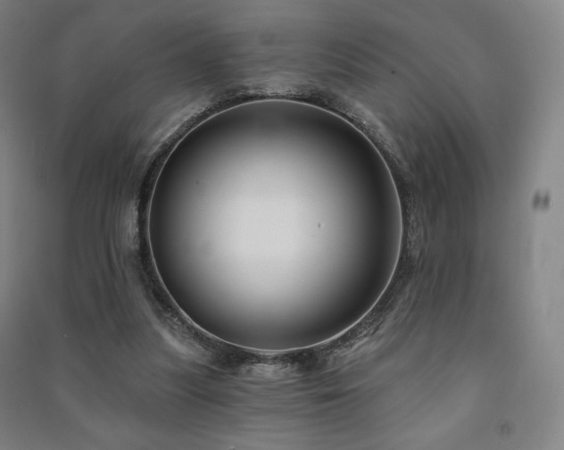 X0000091470251200708161404