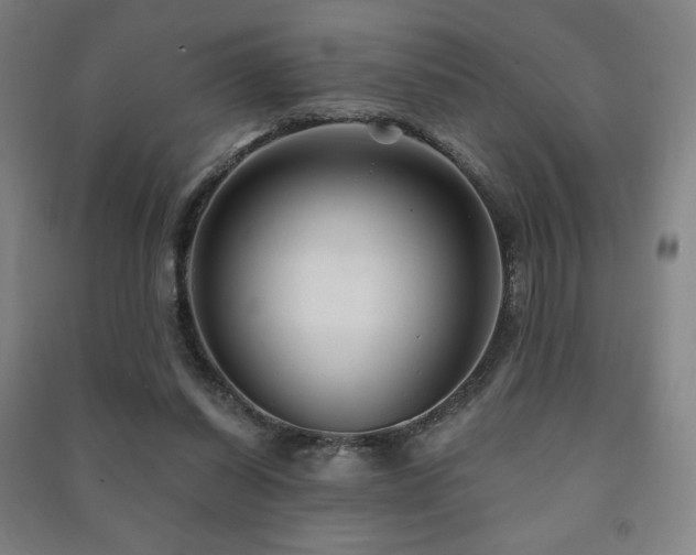 X0000091470254200708161405