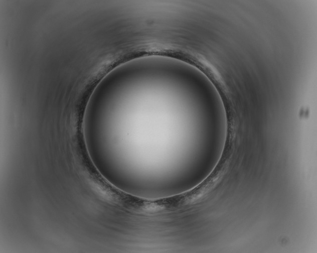 X0000091470257200708161405