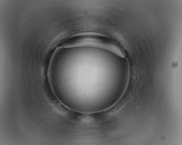 X0000091470258200708161405