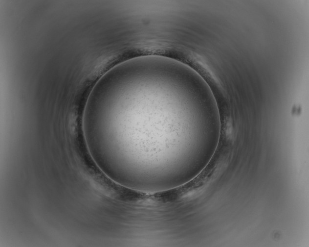 X0000091470259200708161405