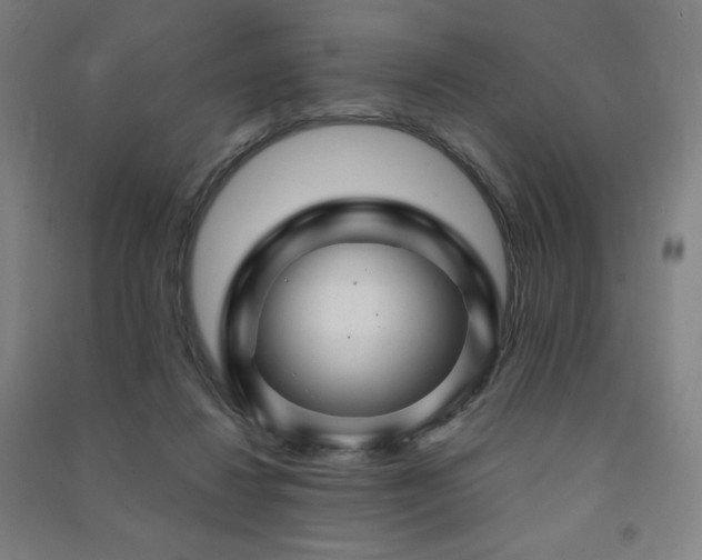 X0000091470260200708161405