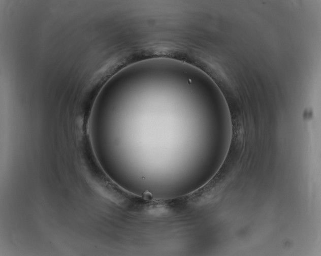 X0000091470262200708161405