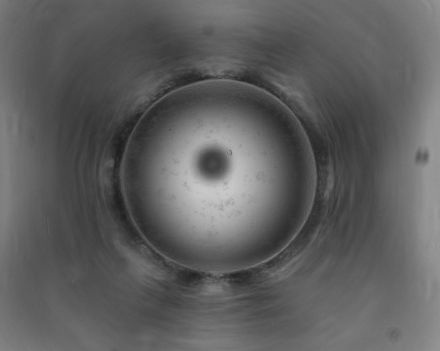 X0000091470263200708161405