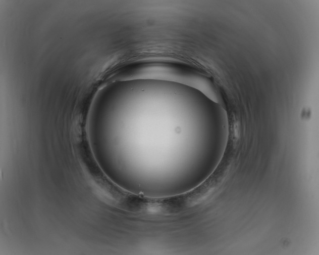 X0000091470264200708161405