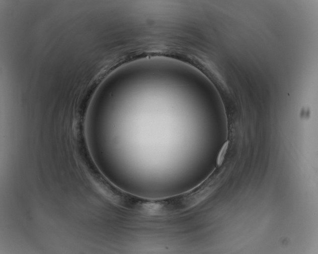 X0000091470265200708161405