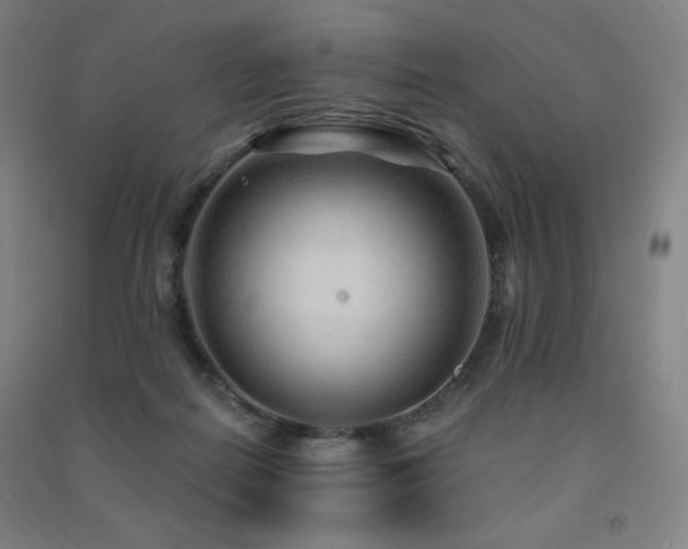 X0000091470266200708161405