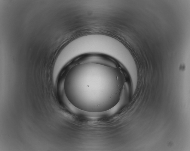 X0000091470268200708161405