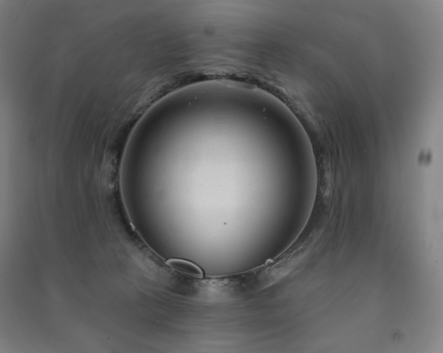 X0000091470273200708161405