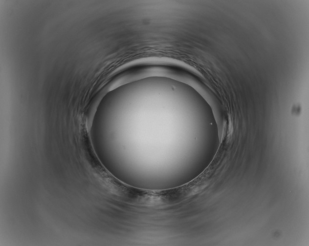 X0000091470276200708161405