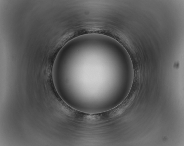 X0000091470277200708161405