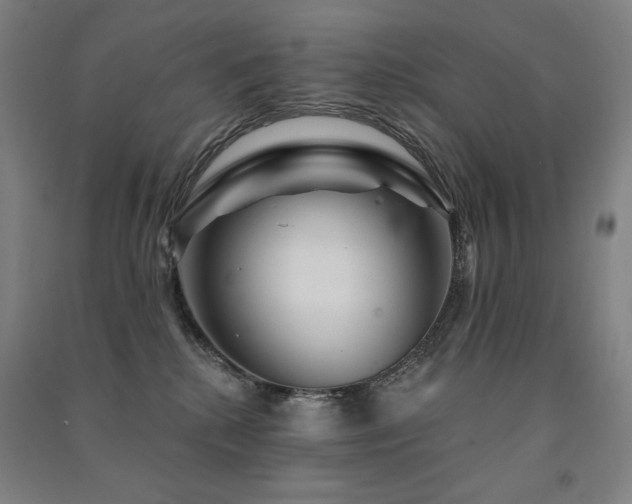 X0000091470280200708161405