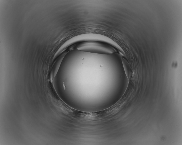 X0000091470282200708161405