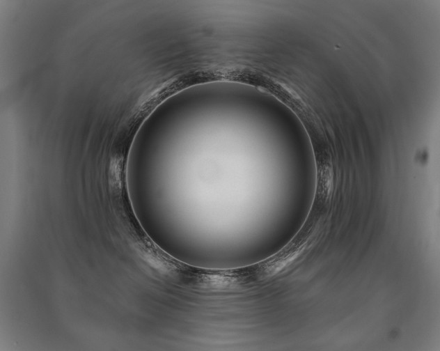 X0000091470286200708161405