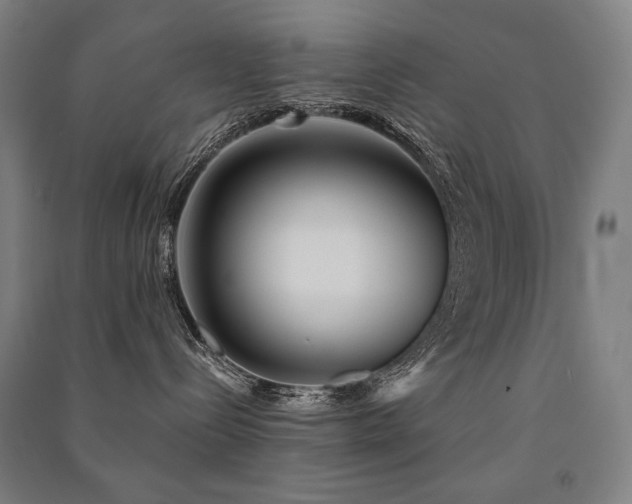 X0000091470288200708161405