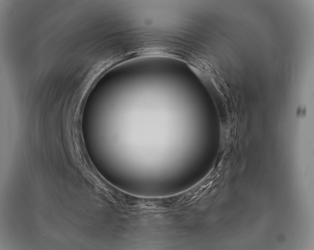 X0000091470289200708161404