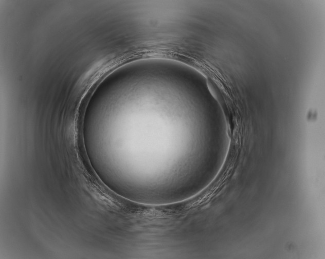 X0000091470290200708161404