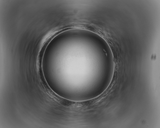 X0000091470294200708161404