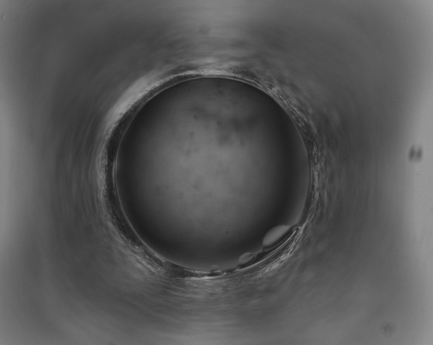 X0000091470295200708161404