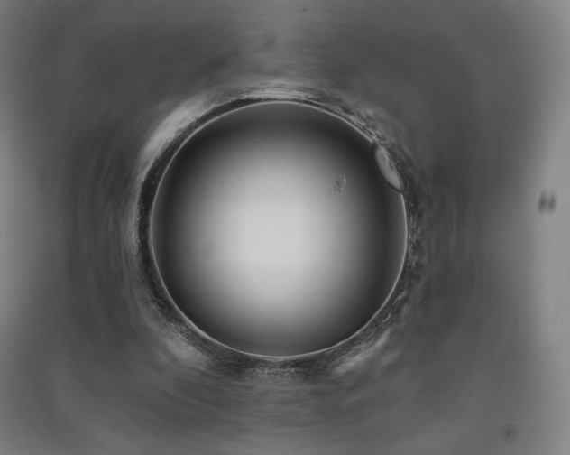 X0000091470296200708161404