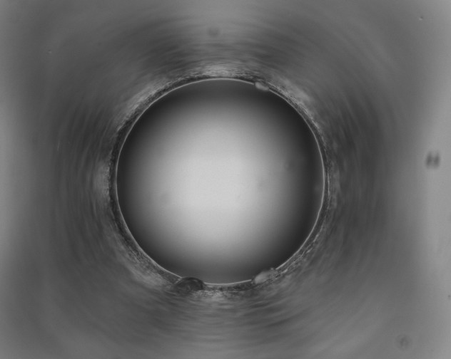 X0000091470297200708161404