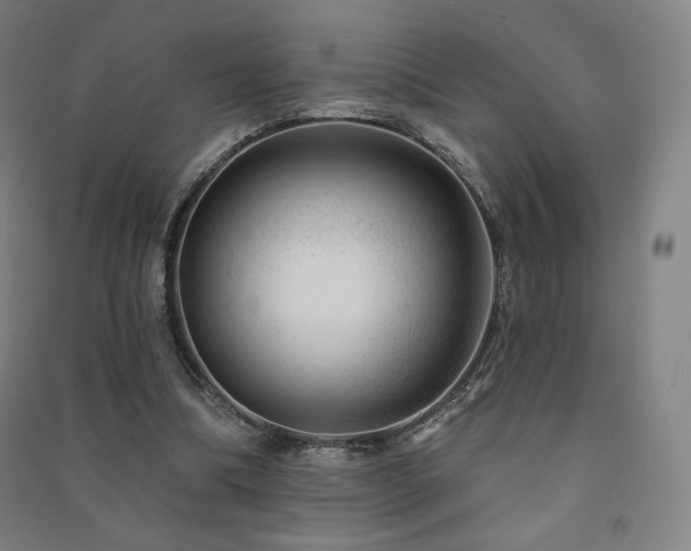 X0000091470298200708161404