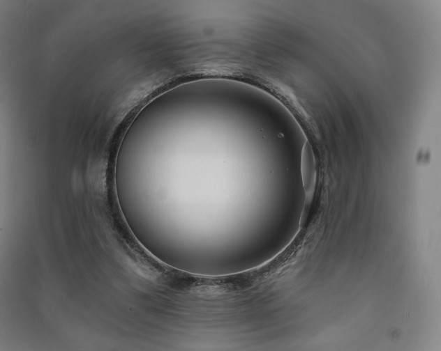 X0000091470299200708161404