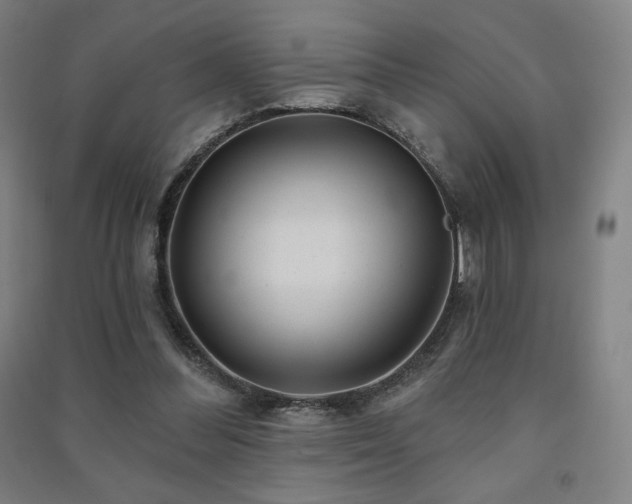 X0000091470300200708161404