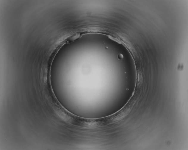 X0000091470301200708161404