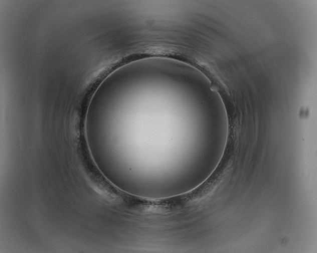 X0000091470303200708161404