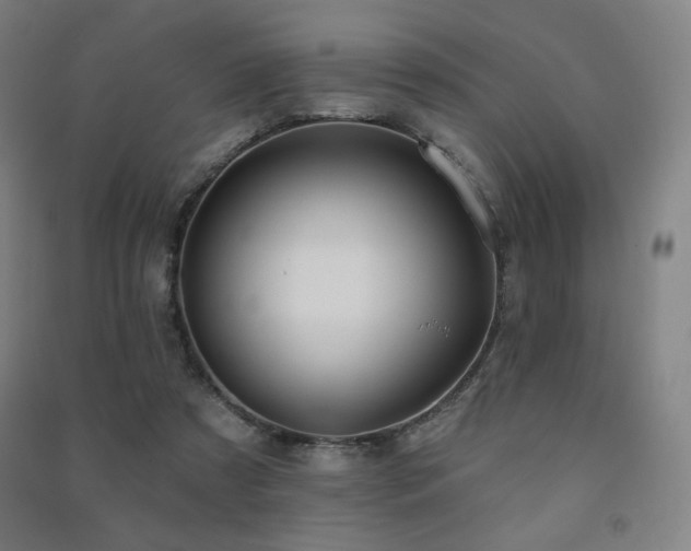 X0000091470305200708161404